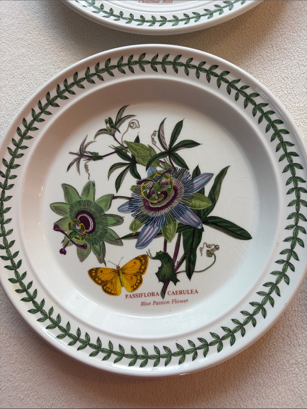 Portmeirion Botanic Garden Dinner Plates